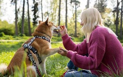 Het opvoeden van een hond: tips en trucks voor een gehoorzame viervoeter.
