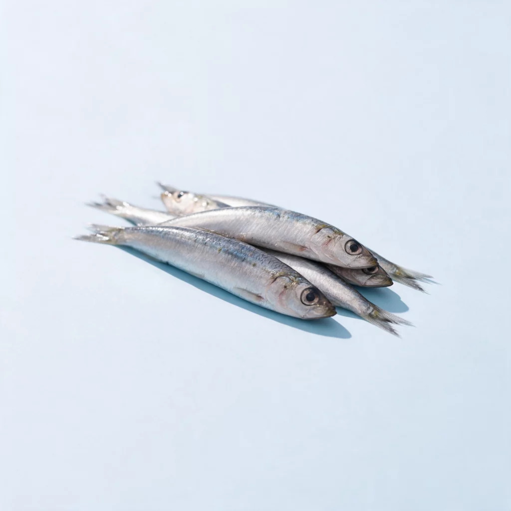 Anchois