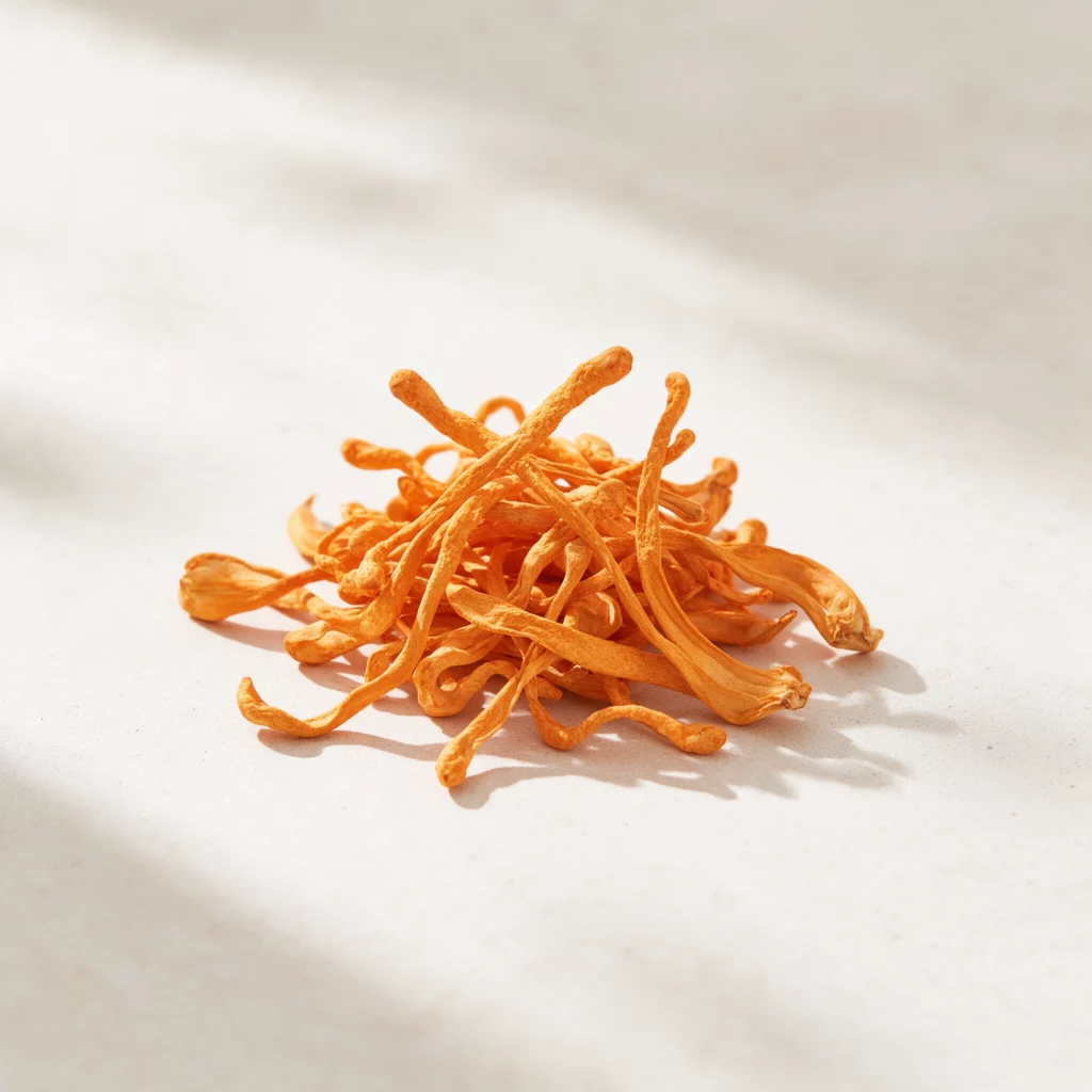 Cordyceps